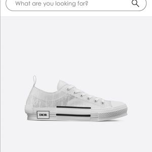 Dior men’s sneakers size men’s 38/5 woman’s  8.5
